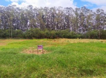 Terreno · 1000m² · VENDA | Terreno,  em JD BELA VISTA, IGUARACU