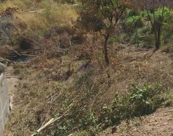 97220_30-1_114034.jpg · lote terreno