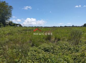 Terreno · 720m² · Lote em  Rua Bracatinga - Colinas - São Francisco de Paula/RS