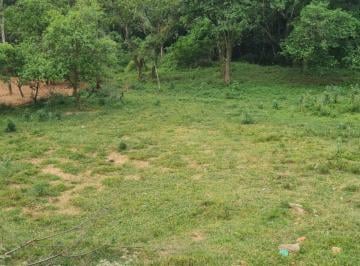 Foto 04 · Lote/Terreno à Venda, 3.000 m² por R$ 150.000 Cód. ch1850