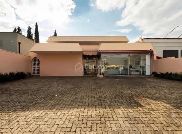0 · casa para aluguel em Nova Campinas