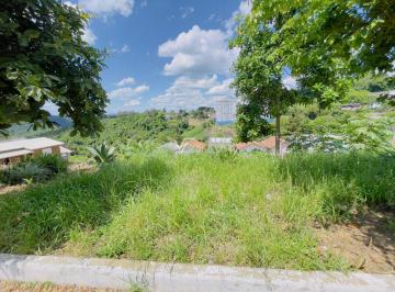 g1_424_4225_1519_221024.jpg · TERRENO