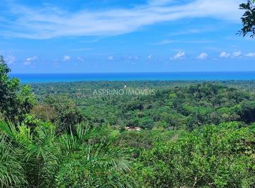 202602191636493109.jpg · Sítio com Vista Mar e Mata Atlântica em Ilhéus | 10,6 ha