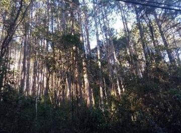 Terreno · 22000m² · Terreno à venda em Atibaia-SP, bairro Portão, 22.000 m² de área