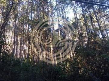 Terreno · 22000m² · Terreno à venda em Atibaia-SP, bairro Portão, 22.000 m² de área