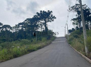 Terreno · 480m² · Lote no Loteamento Jardim Europa, Vila Olinda, Nova Petrópolis/RS