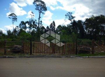 472553_ib2B96y2343J9_47255365566424721da.jpg · Terreno com 1 hectare no Bairro Carniel em Gramado