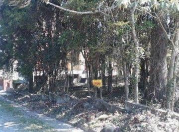 prolar_11252_i599lb9B_112525d9259b4e57ef.jpg · Terreno do Cidade Nova