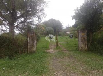 645795_i325J18791Bty4_64579566fd71a8c41b4.jpg · Sitio 30km de Porto Alegre com 01 hectare