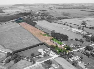 Amplo Terreno · Terreno à venda - em Palmeira
