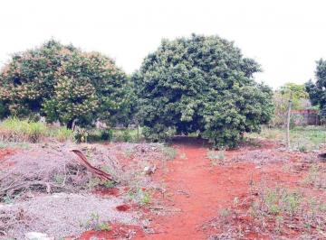 5831_i1U48oS361pL_58316597029e65e10.jpg · Terreno | Rolândia