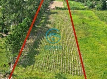 Rural · 2ha · Área para Sítio com Riacho e Terreno de 20.000m² ( 02 HECTARES ) à venda em Canelinha/SC