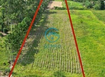 Rural · 2ha · Área para Sítio com Riacho e Terreno de 20.000m² ( 02 HECTARES ) à venda em Canelinha/SC