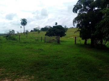 Rural , Conchal · Sítio na Região de Campinas - SP
