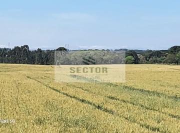 Terreno · 53240m² · Terrenos / Lotes / Condomínio  em   -  São José dos Pinhais