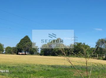 Terreno · 10900m² · Terrenos / Lotes / Condomínio  em Cachoeira  -  São José dos Pinhais