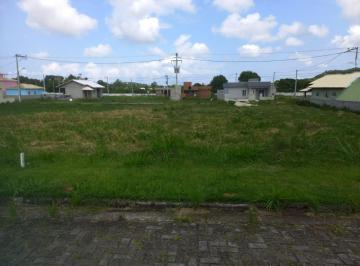 202410210903448851.jpg · Terreno para Venda em Maricá, Pindobas, Caxito