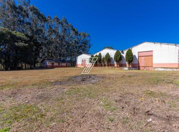 Comercial · 3000m² · Barracão em Tijucas do Sul