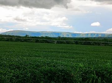 Foto 01 · Fazenda, Buritis, Buritis, MG