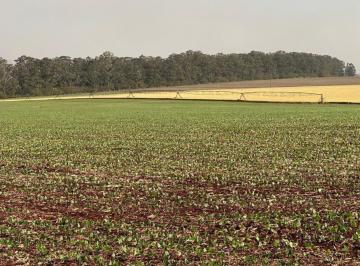 Foto 01 · EXCELENTE FAZENDA A VENDA NA REGIÃO DE PIRAJU-SP ?? Localizada no Município de Bernardino de Campo