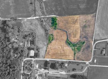 Terreno | Vista Aérea · Terreno à venda - em Palmeira