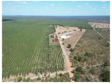 fd61c50b12d7b5562c09c836b45aeec0.jpg · Fazenda com 7.500 hectares, com 800 hectares em eucalipto, 1.200 hectares (agricultura) em pasto