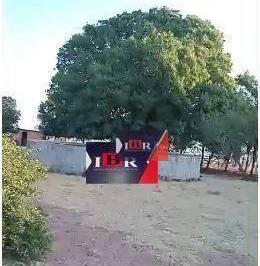 63b6699e1937322d586af0a9857775014d2001e9 · Fazenda em Sonora - MS