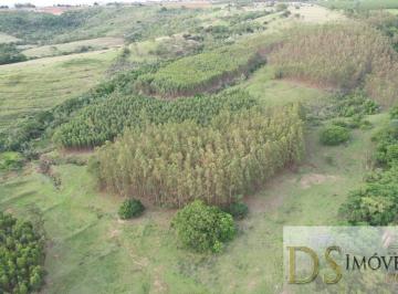 Foto 01 · FAZENDA EM ECHAPORÃ/SP OPORTUNIDADE ÚNICA: 58,60 ALQUEIRES, PRÓXIMO À CIDADE R$ 10.600.000,00