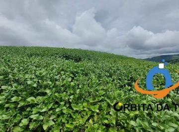 Foto 01 · Fazenda à venda em Pitanga-PR: 2 quartos, 1 banheiro, 91 alqueires de área no bairro Rural.