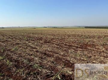 Foto 01 · Fazenda de 235 Alqueires em Bernardino de Campos/SP: Oportunidade Única!
