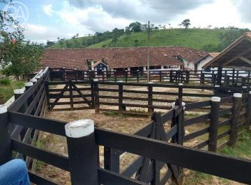 fvhksao2nzbln2e5mgjhztk0_md · FAZENDA DE GADO VALE DO PARAÍBA- SP