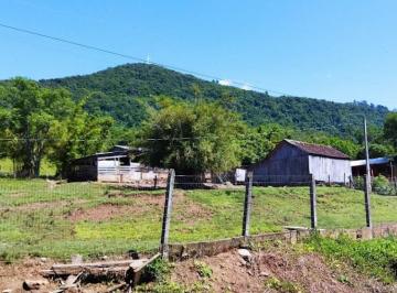 Foto 01 · Sitio, Voluntaria Baixa, Igrejinha, RS