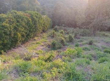 Foto 01 · Terreno, Campo Largo, Jarinu, SP