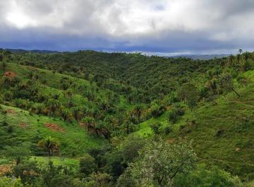 Rural , Planaltina · Fazenda em Planaltina Goiás
