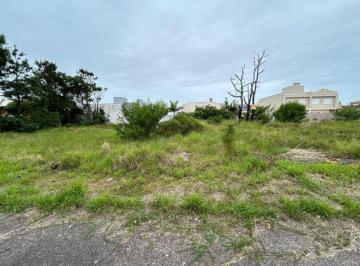 113976.jpg · Terreno - Bairro Capão Novo