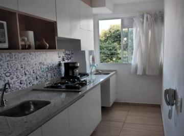 497707_i1J3493814576W1FyGx9_497707669e54ae714df.jpg · Apartamento à venda - no Jardim Gilda Maria
