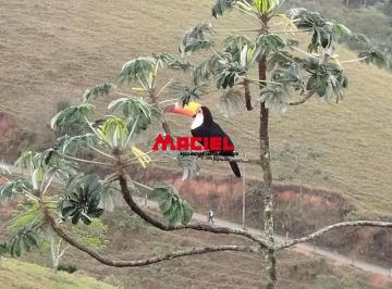 Rural · 120m² · 3 Quartos · Linda Chacara no bairro Jaguary zona norte com 2.400 metros