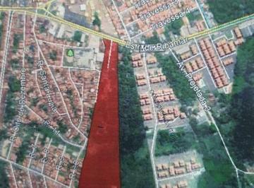 ketca2u2nze4ndmzyjdjngyy_md · Terreno à Venda em Forquilha - 60.000m² - Plano - Localização Privilegiada