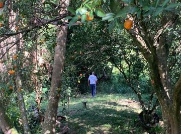 Terreno · 786m² · Terreno à Venda – Chácara das Garças | Santana de Parnaíba/SP