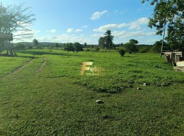Foto 01 · MARAVILHOSA FAZENDA PARA PLANTIO DE CAFÉ.
