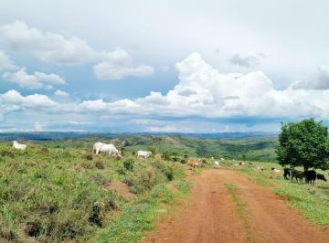 Rural , Ceilândia · Fazenda Fantastica DF 190 50 km BsB.