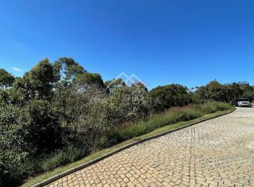 img_9726-16872699857084.jpg · LOTES COM VISTA LIVRE NA SERRA DE TERESOPOLIS CONFIRA!!!