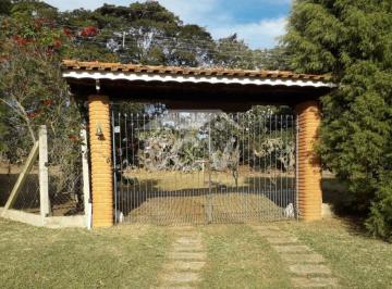 202410261210565376.jpeg · CHÁCARA EM SÃO PEDRO SP, ALTO DA SERRA, VILA SANTO ANTONIO.
