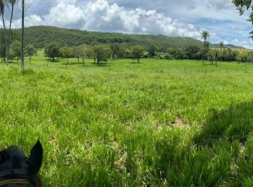 Rural · 195m² · Imobiliária Setor Bosque -Fazenda Setor Bosque à venda