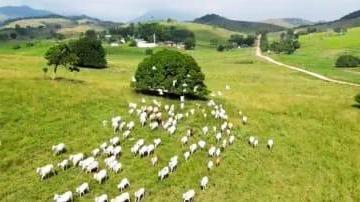 Rural de 8 quartos, Tanguá · Fazenda em Itaboraí - RJ