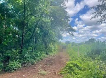 202410281021401932.jpg · Fazenda para Venda em Bonfinópolis de Minas, Zona Rural