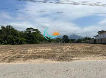 Foto 01 · Área desmatada regularmente na Rio Santos a Venda - para galpões e lojas