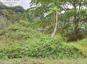 Foto 01 · Terreno, Tarumã - Praia dos Passarinhos, Manaus, AM