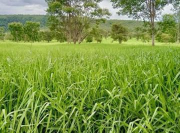 Rural · 452ha · 1 Quarto · Fazenda 453 hectares em Corinto MG, 1,5 km de beira de córrego e 2 poços artesianos