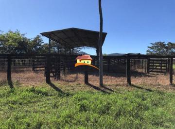 20210922110514408400.jpeg · Fazenda para Venda em Paraíso do Tocantins, ampla expansão agropecuária